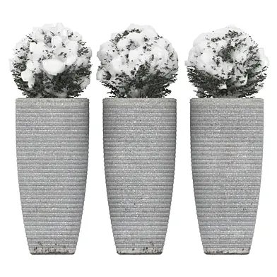 Bush 01 Snow