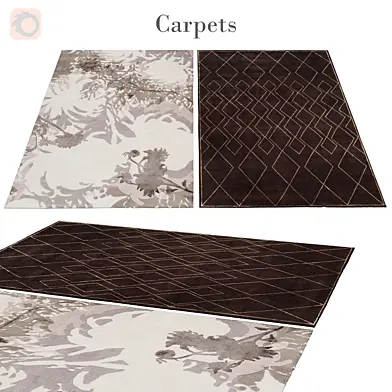 rug 181