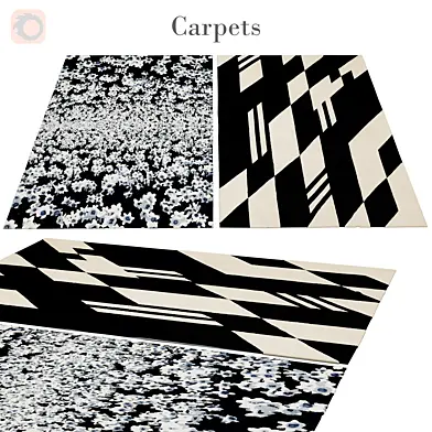 rug 208