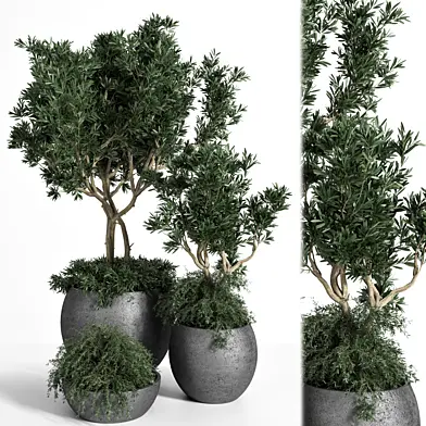 Outdoor Plants tree 03