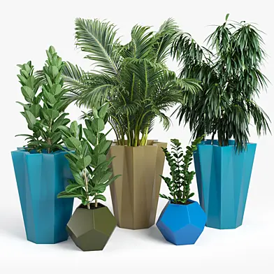 Siro planter