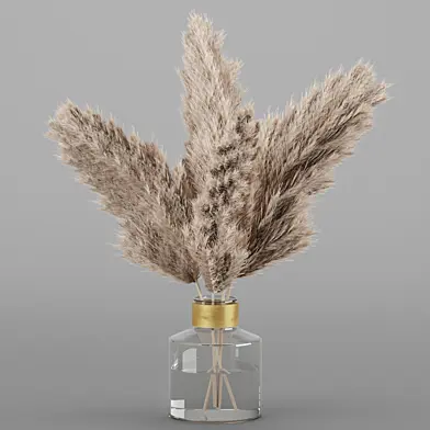 dry plant 3