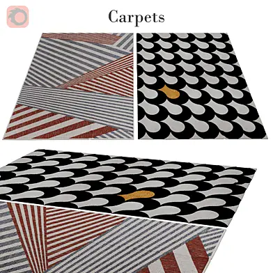 rug 301