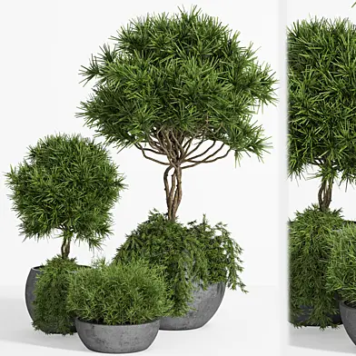 Outdoor Plants tree 04