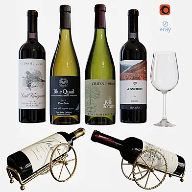 wine bottle set 11