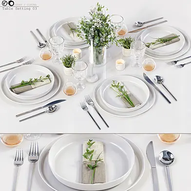 Table Setting 03