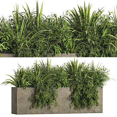 Outdoor Plants Tree in Concrete Box 05