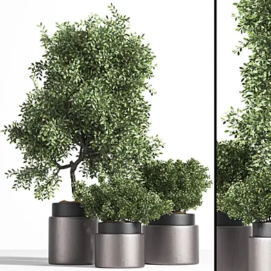 outdoor plant tree metalic