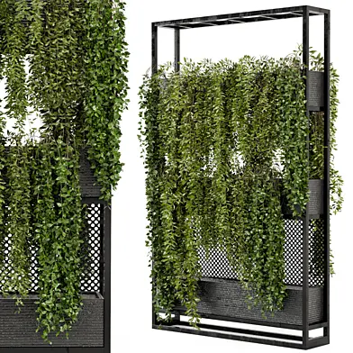 Indoor Hanging Plants in Metal Stand - Set 100
