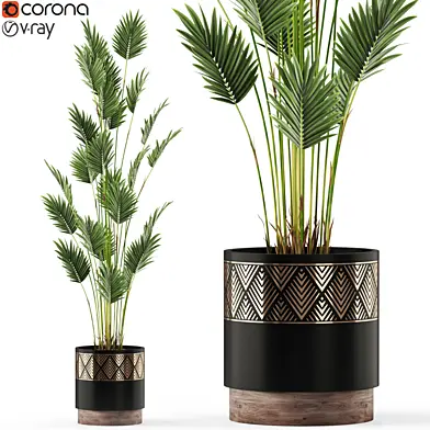 Plants collection 467