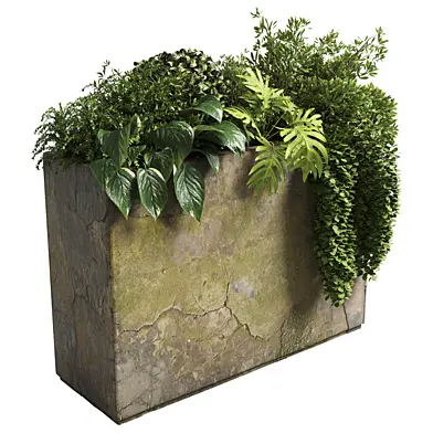 collection outdoor plant 21-concrete old vase bax pot
