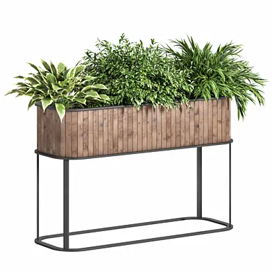 Indoor_Plant_Set_15.