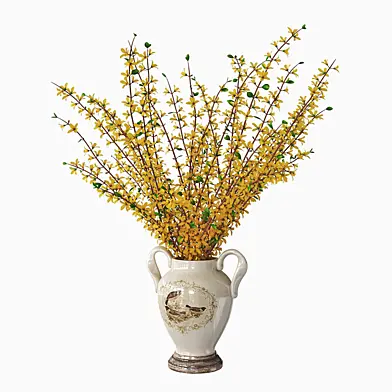 Forsythia 04