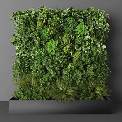 Vertical garden 144