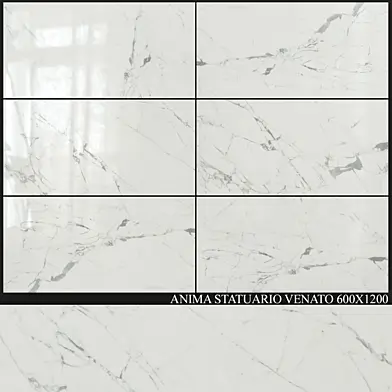 Caesar Anima Statuario Venato 600x1200