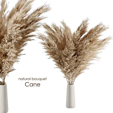 Natural cane bouquet