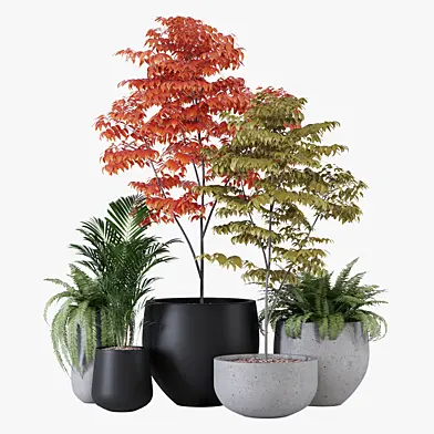 Pottery pots