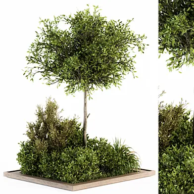 Garden set ivy and Bush - Garden Set 15