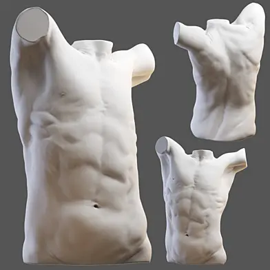 Торс torso