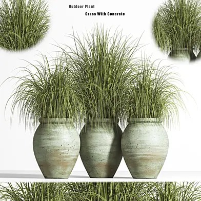 Outdoor Plant set 01