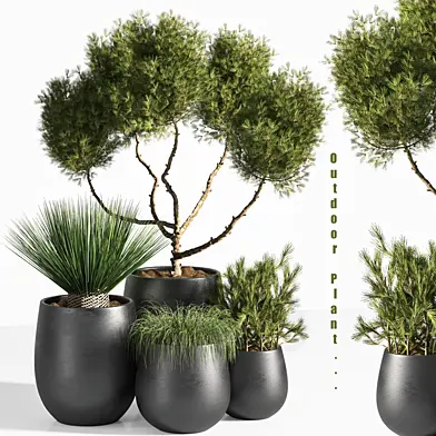 plant outdoor set 02