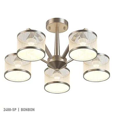 F-Promo 2488-5P