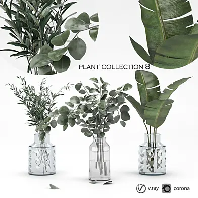 plant collection 8