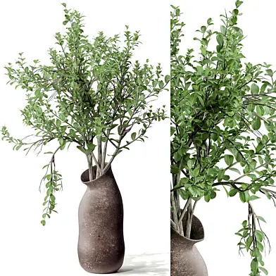 Indoor plant 02