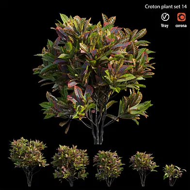 Corton plant set 14