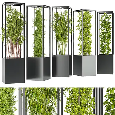 Collection plant vol 237