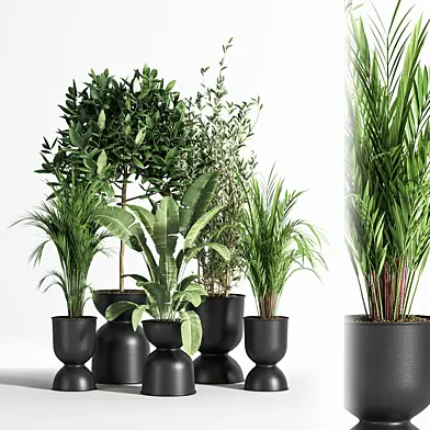 indoor set plant 01 z