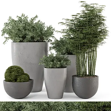 Outdoor Plants Bush in rusty Concrete Pot - Set 232