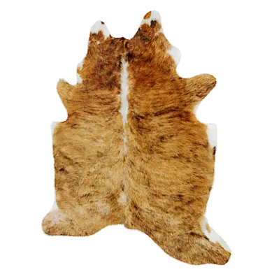 Animal skin rug 09