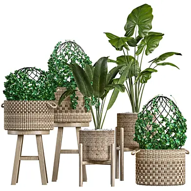 Indoor plants set 001