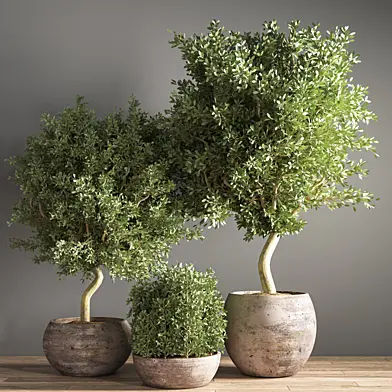indoor plant stand 22