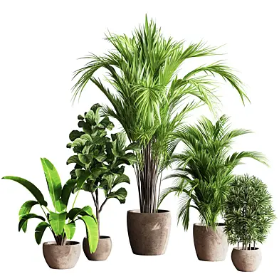Indoor_Plant_Set_60