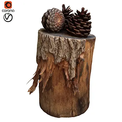 tree trunk 13