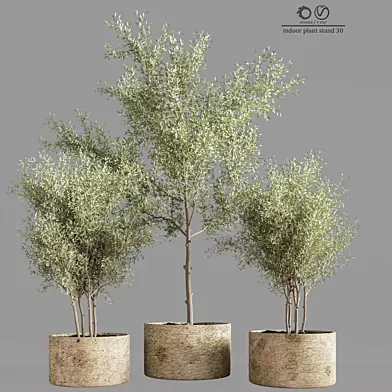 indoor plant stand 30