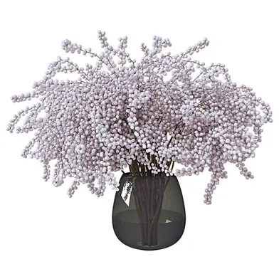 Mimoza