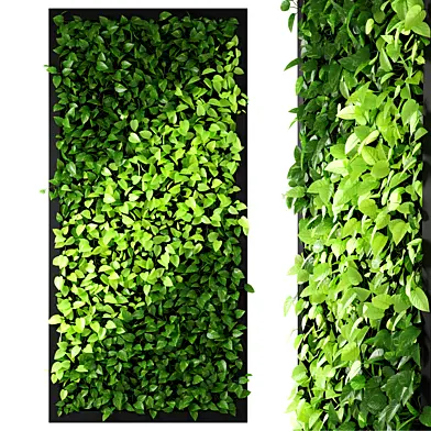 vertical garden 12