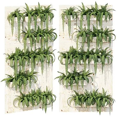 Planter box fern 2