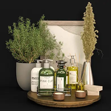 Bathroom Accessories Vol11
