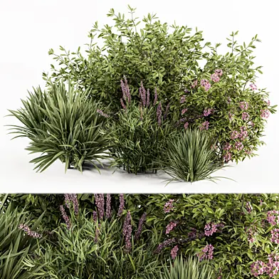 Mixed Plant Bush Green and Purple - Bush Set 50