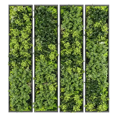 Vertical garden163