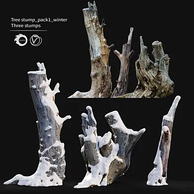 Tree stump _pack01_winter