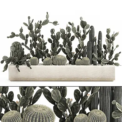 Коллекция растений пустыни  в вазоне из кактусы, Barrel cactus, уличный вазон, горшок, Опунция. Набор1102.
