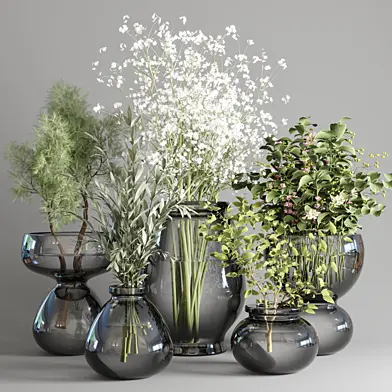 collection Plants Bouquet Indoor glass vase 04