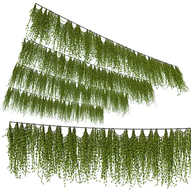 Hanging plants v4 (L - 5m)