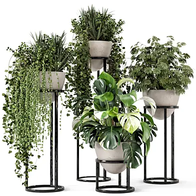 Indoor Plants in rusty Concrete Pot on Metal Shelf  - Set 495
