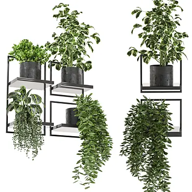 indoor hanging plants in metal box_set 266